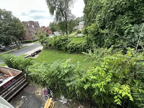 26 Calhoun St, Springfield, MA 01107 photo 6