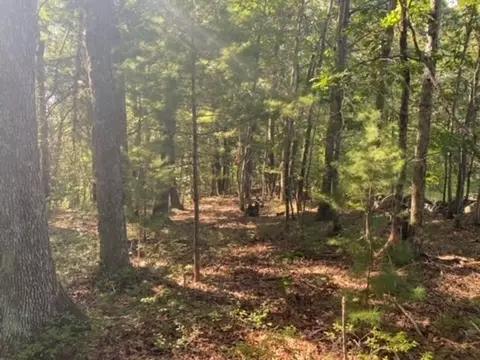126 Dodge Hill Rd, Sutton, MA 01590 photo 10