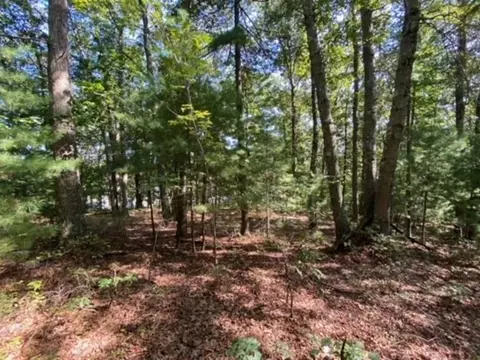 126 Dodge Hill Rd, Sutton, MA 01590 photo 7