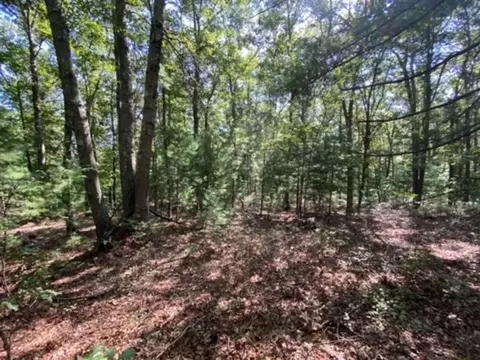 126 Dodge Hill Rd, Sutton, MA 01590 photo 6