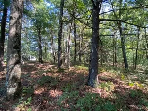 126 Dodge Hill Rd, Sutton, MA 01590 photo 8