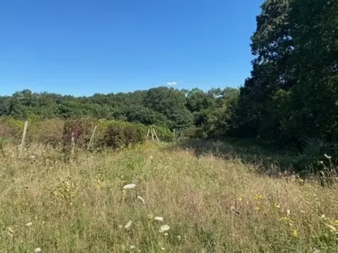 126 Dodge Hill Rd, Sutton, MA 01590 photo 4