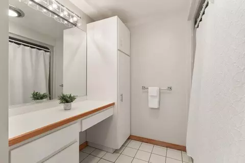 5 Birchtree Cir #5, Franklin, MA 02038 photo 27