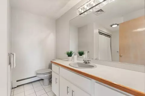 5 Birchtree Cir #5, Franklin, MA 02038 photo 26