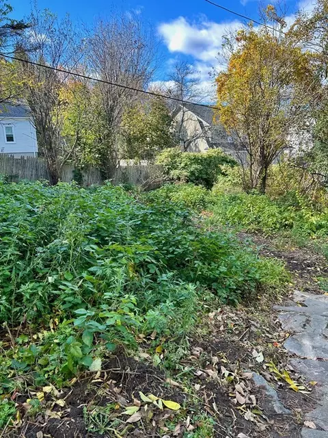 2038 Maple St, Palmer, MA 01080 photo 17