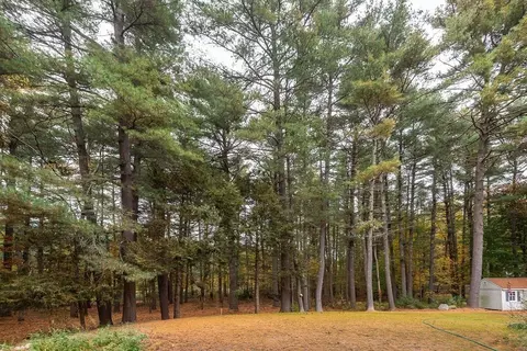 5 Mill Brook Ave, Walpole, MA 02081 photo 12