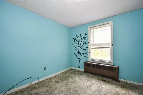 62 Pine Ave, Leicester, MA 01611 photo 16