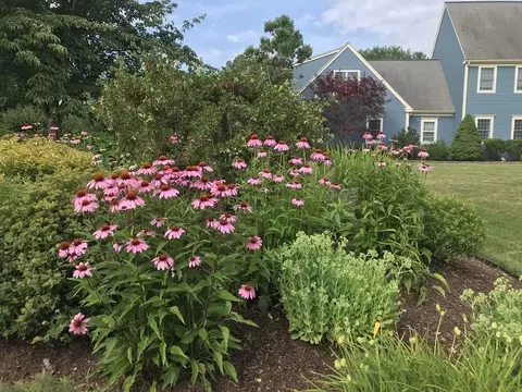 11 Rebekah Ln, Sutton, MA 01590 photo 39