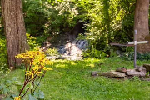 115 S Meadow Rd, Lancaster, MA 01523 photo 41