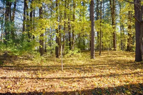 3 Oak Hill Dr, Walpole, MA 02081 photo 21