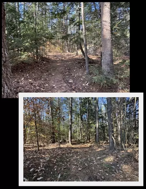 55 Plain Rd, Wendell, MA 01379 photo 40
