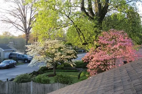 5 Bartlett Dr, Georgetown, MA 01833 photo 27