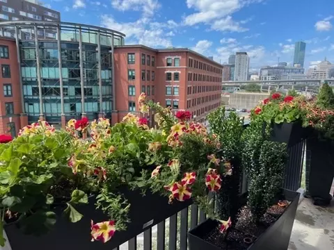 14 W Broadway #407, Boston, MA 02127