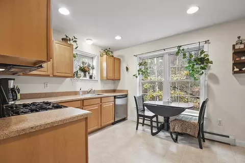 13 Coppersmith Way #13, Townsend, MA 01469 photo 9