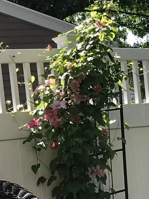 6 Oakland Rd, Reading, MA 01867 photo 33