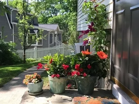 6 Oakland Rd, Reading, MA 01867 photo 27