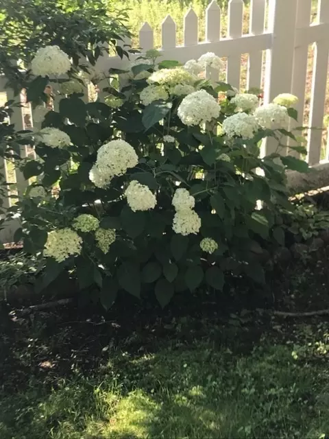 6 Oakland Rd, Reading, MA 01867 photo 30