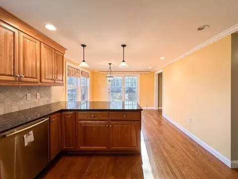 29 Douglas Rd, Needham, MA 02492 photo 3