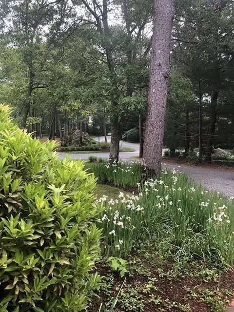 84 Shellback Way # M, Mashpee, MA 02649 photo 36