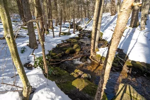 71 Northwest Rd, Westhampton, MA 01027 photo 38