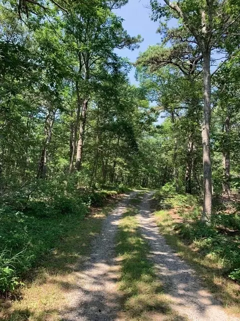 605 Cable Rd, Eastham, MA 02642 photo 3