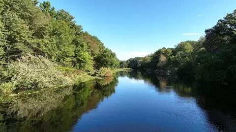 11 Winding River Cir, Wellesley, MA 02482
