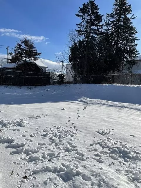 23 Preston St, Springfield, MA 01109 photo 3