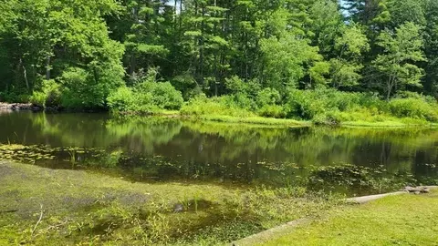0 N St L2, Ware, MA 01082 photo 7