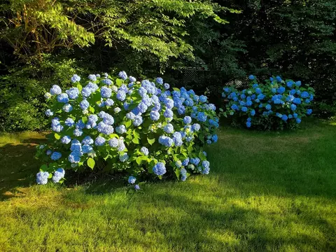 17 Longmeadow Rd, Hingham, MA 02043 photo 40