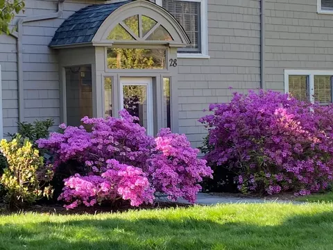 Exterior - 28 Bancroft Rd, Wellesley, MA 02481 photo 3 of 10