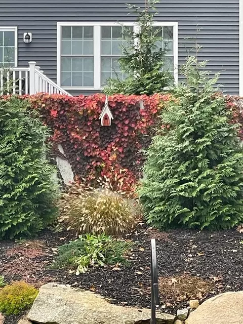 Exterior - 9 Church Ave, Wareham, MA 02571 photo 7 of 8