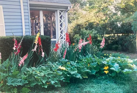 Other - 19 Edwin St, Randolph, MA 02368 photo 14 of 14