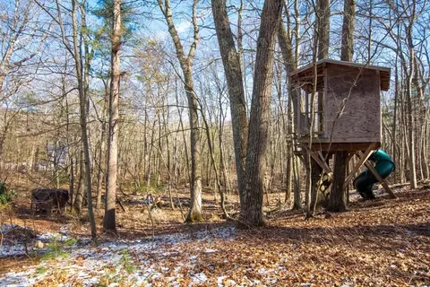 Exterior - 96 Middlesex St, Millis, MA 02054 photo 7 of 8