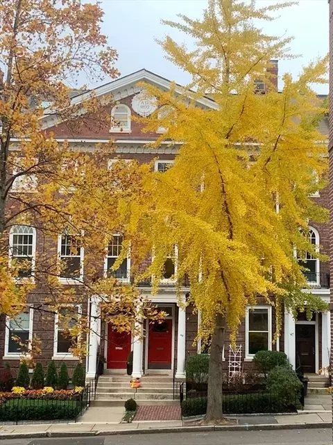 Exterior - 49 Garrison Rd, Brookline, MA 02445 photo 2 of 3