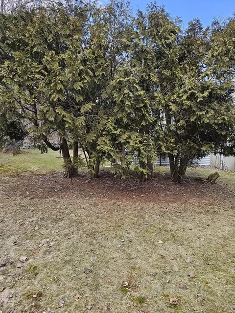 View/Area - 82 Venus Dr, Worcester, MA 01605 photo 1 of 3