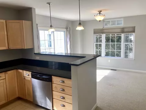 45 Turtle Brook Rd #45, Canton, MA 02021 photo 3