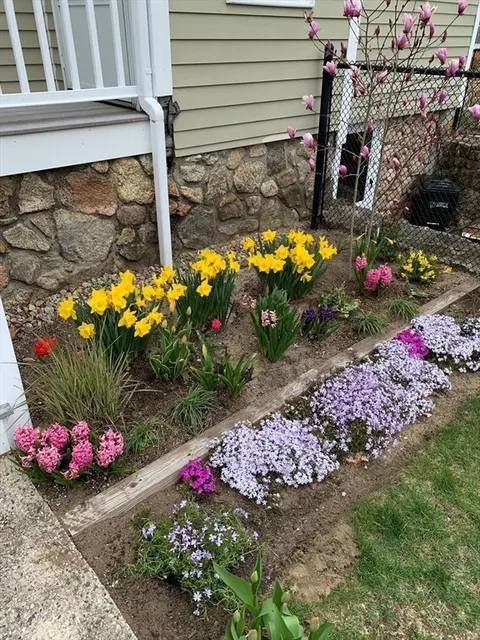 Exterior - 15 Summer St, Wareham, MA 02571 photo 6 of 17