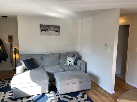 Living - 100 Line St, Easthampton, MA 01027 photo 4 of 5