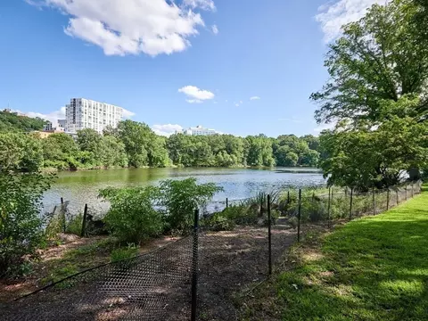 33 Pond Ave #201, Brookline, MA 02445 photo 20