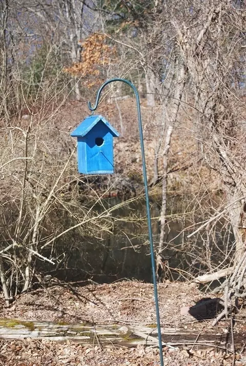 View/Area - 8 Pine St, Dudley, MA 01571 photo 1 of 5