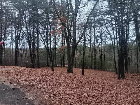 View/Area - 366 Brickyard Rd, Athol, MA 01331 photo 2 of 3