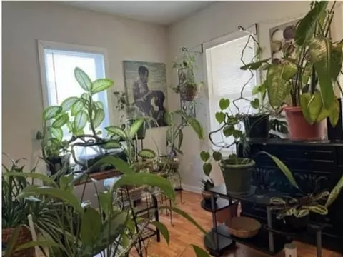 Living - 95 Dawes St, Springfield, MA 01109 photo 2 of 4
