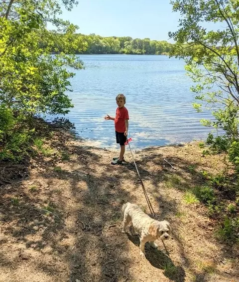 View/Area - 52 Goose Point Rd, Barnstable, MA 02632 photo 1 of 2