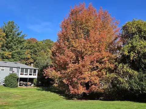 Exterior - 85 Dover Rd, Millis, MA 02054 photo 6 of 6