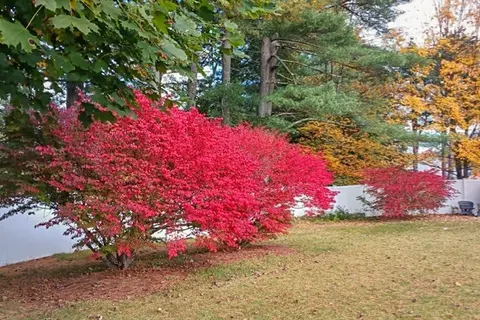 Exterior - 424 Lenox St, Athol, MA 01331 photo 9 of 10