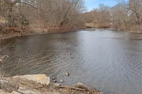 View/Area - 57 Sylvan St #6C, Danvers, MA 01923 photo 3 of 3