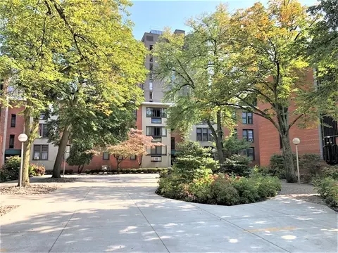 6 Juniper St #4, Brookline, MA 02445 photo 3