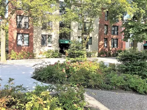 6 Juniper St #4, Brookline, MA 02445 photo 4