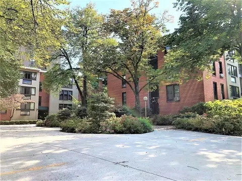6 Juniper St #4, Brookline, MA 02445 photo 18