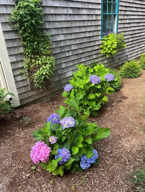 Exterior - 3 Hoover Rd, Hingham, MA 02043 photo 10 of 11